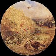William Dexter Wheatfield with bird-s nest oil painting